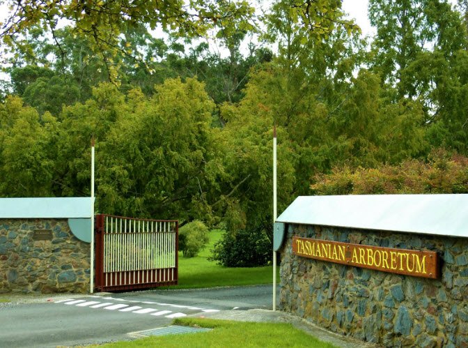 Tasmanian Arboretum, Australia